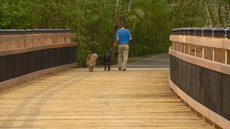 Bridges re-opened in Mill Creek ravine after rehab work