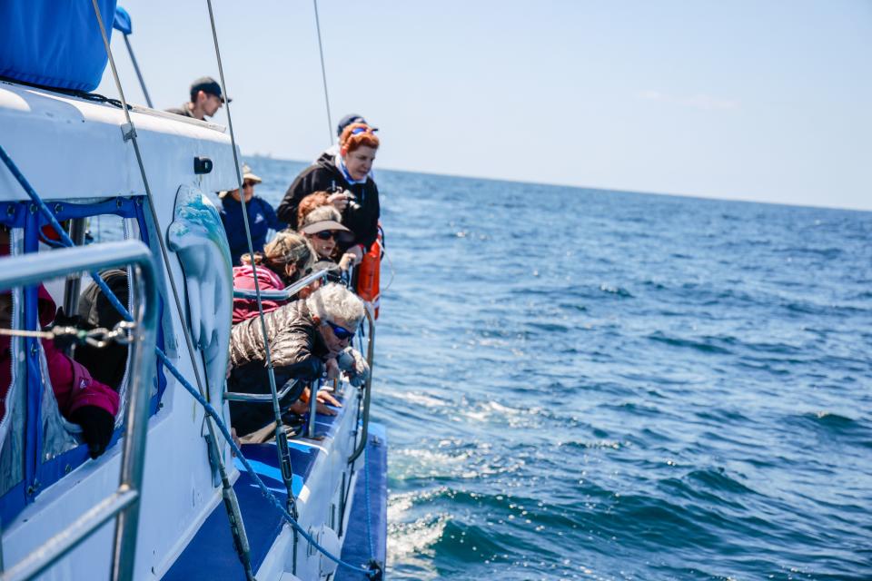 Seniors watch for sea life at My Jump!'s dolphin and whale watching expedition off Dana Point, Calif., on April 6, 2024.