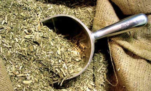 Crece el precio de exportación de la yerba mate | Agrofy News