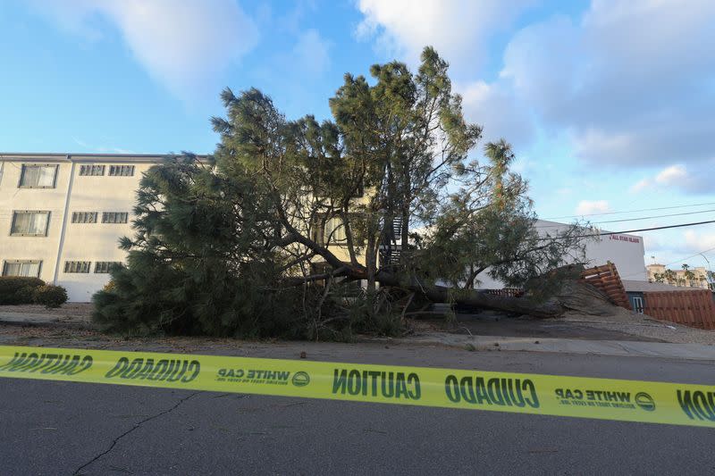 Winter storm causes damage in California