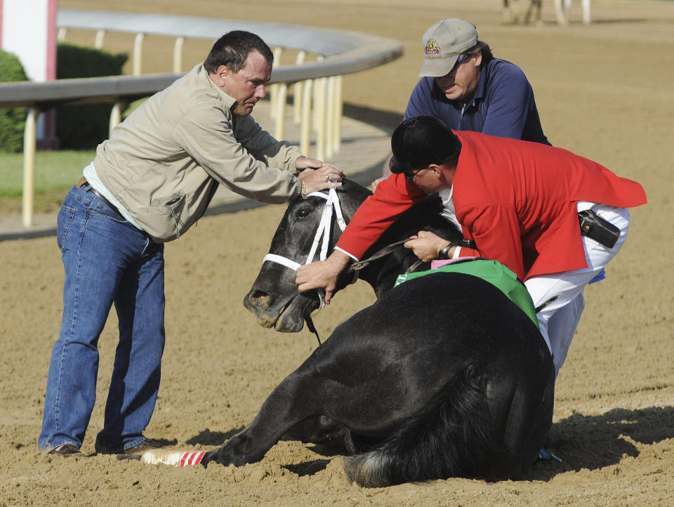 FILE - Track personnel try to hold down Eight Belles after the 134th Kentucky Derby at Churchill Downs in Louisville, Ky., May 3, 2008. Eight Belles was euthanized after breaking both front ankles following a second-place finish in the Kentucky Derby. Horse deaths marred last year’s Kentucky Derby, Preakness and Breeders’ Cup, with officials finding no single factor to blame. (AP Photo/Brian Bohannon, File)