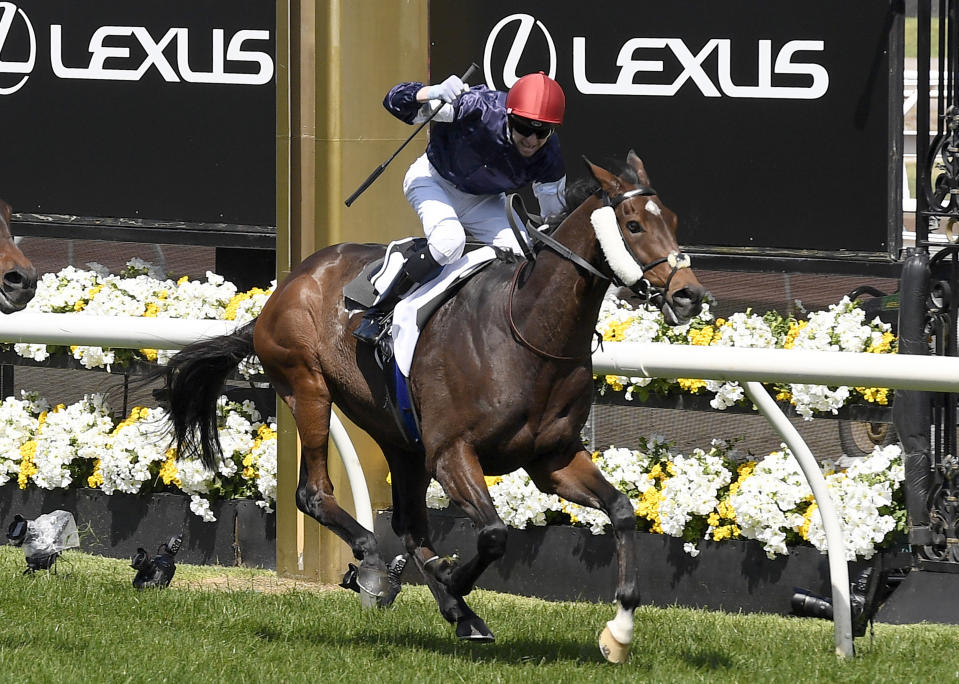 Jockey Jye McNeil mounting Twilight Payment celebrates after winning the Melbourne Cup horse race at Flemington Racecourse in Melbourne, Australia, Tuesday, Nov. 3, 2020. (AP Photo/Andy Brownbill)