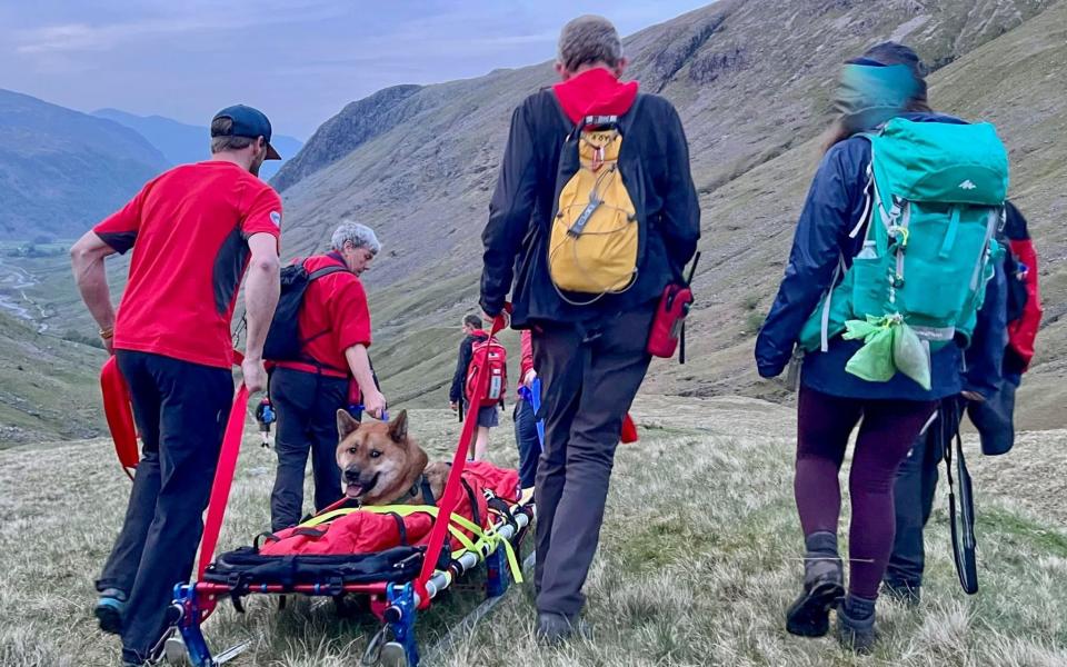 Rocky is made comfortable in a ‘cas bag’ on a stretcher - KeswickMountainRescueTeam /SWNS