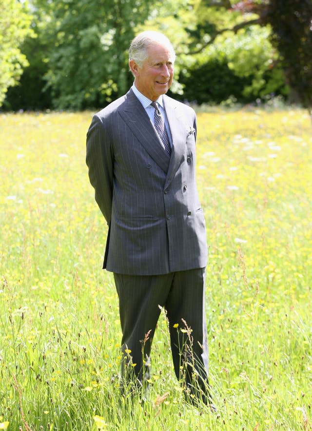 Prince Of Wales Launches Coronation Meadows Initiative