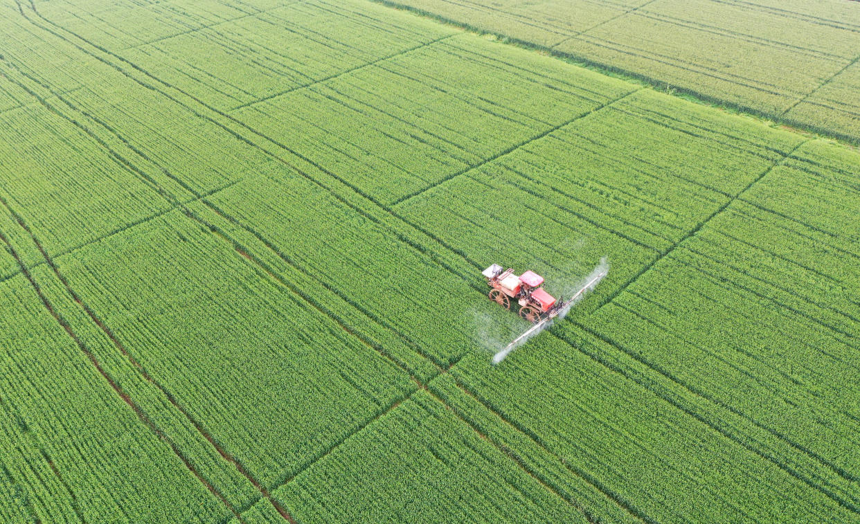 SUSONG, CHINA - APRIL 17: A field sprayer sprays pesticide in a wheat field on April 17, 2021 in Susong County, Anhui Province of China. (Photo by Li Long/VCG via Getty Images)