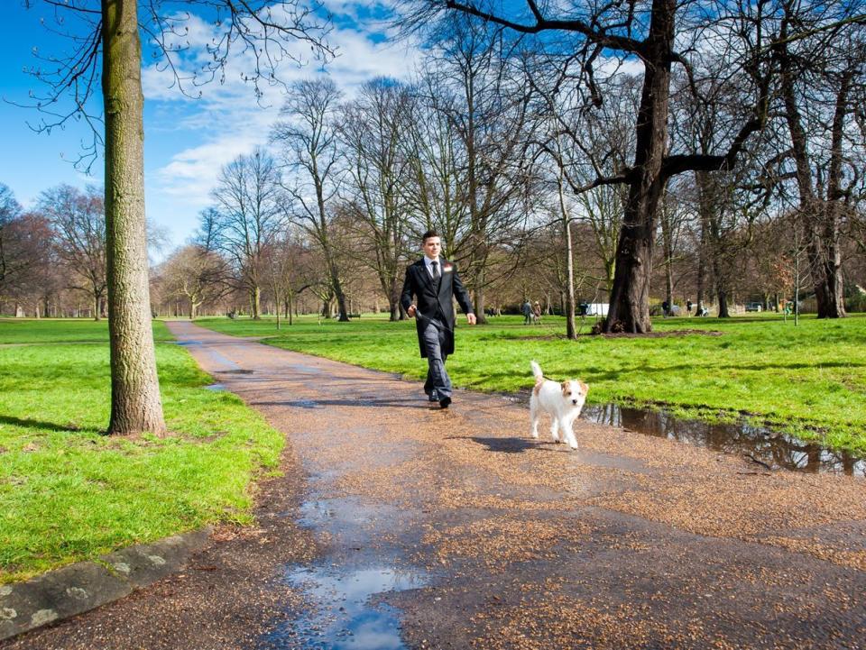 dogfriendly hotels in london