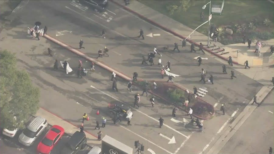 Several protesters taken into custody after blocking lanes near LAX 