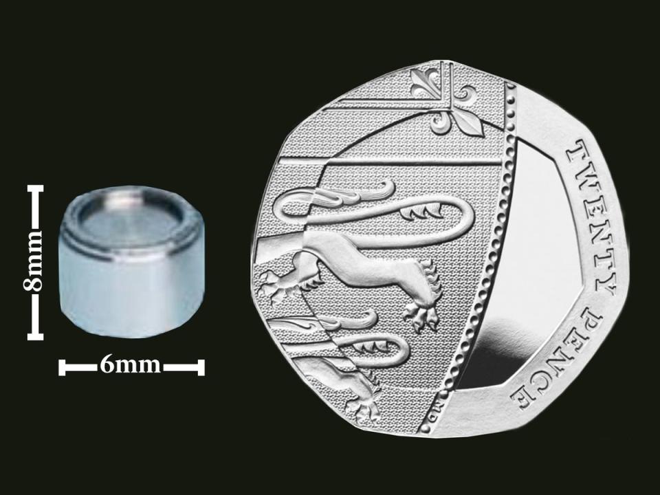 Size comparison of the capsule against a 20p piece (Western Australia Department of Health/The Independent)