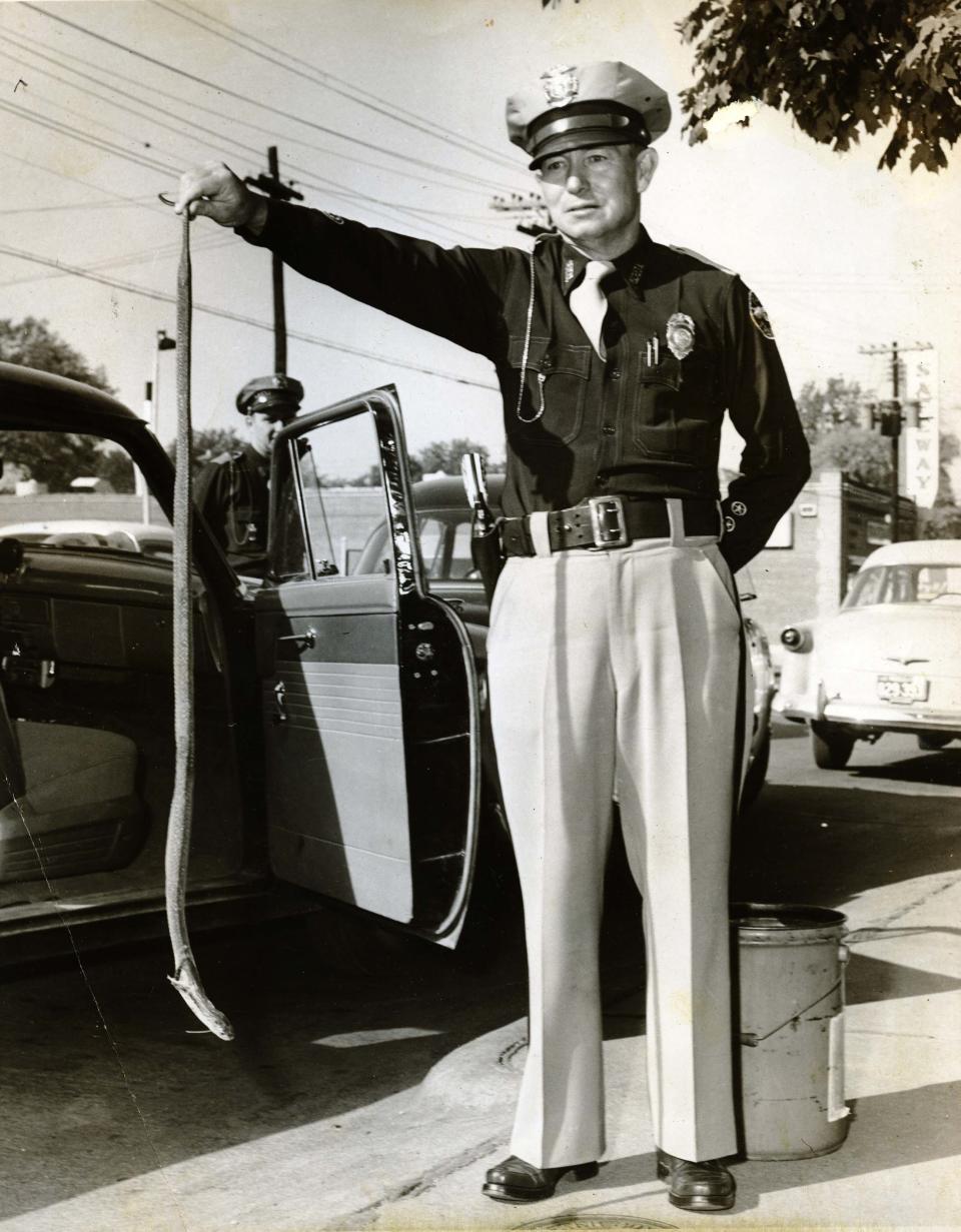 In this 1953 News-Leader file photo, police officer Charlie Walker holds the corpse of a cobra, one of a dozen killed or captured near downtown Springfield in 1953.