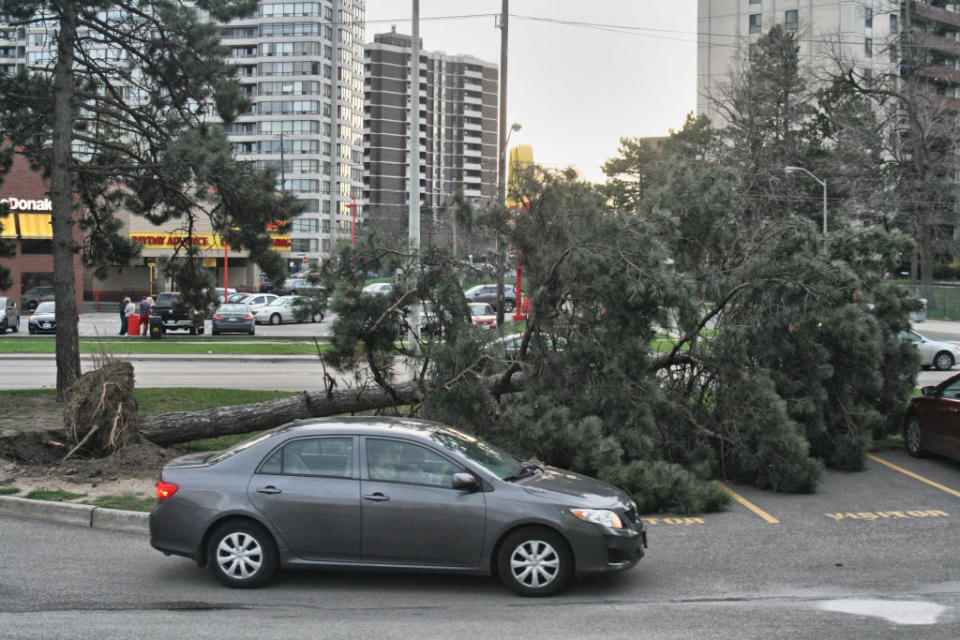 <p>A downed tree is shown in Toronto after extreme winds of up to 110 kilometres per hour ripped through the city on May 4, 2018. The wind storm destroyed homes and left tens of thousands without power across Southern Ontario. Two people were killed as a result of the storm including a forestry worker struck by a falling tree. (Photo from Creative Touch Imaging Ltd./NurPhoto) </p>