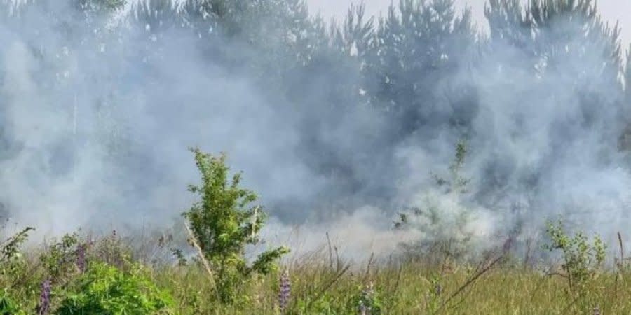 Russian helicopters fire on Sumy Oblast