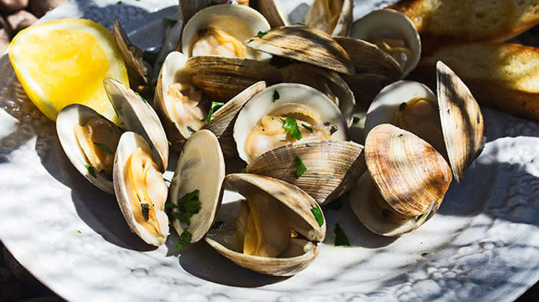 Open clams with herbs