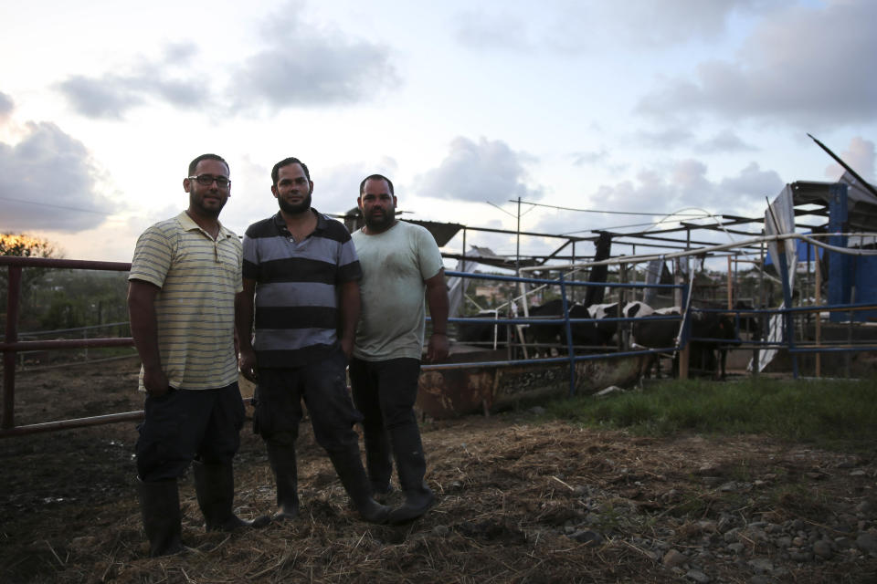 From left, Yamil, Rub&eacute;n and Jonathan&nbsp;Gonz&aacute;lez Echevarr&iacute;a stand in their dairy farm. (Photo: Carolina Moreno/HuffPost)