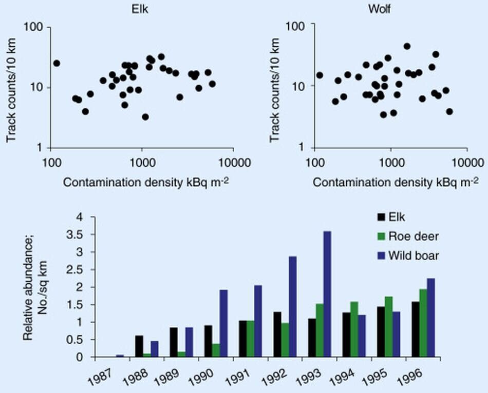 Gráfico: Abundancia animal en la zona de exclusión de Chernobyl | Deryabina, T. G., et al.