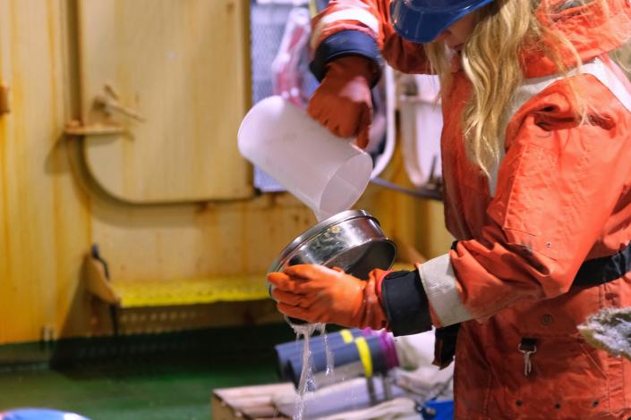 Investigación de nematodos Holly Bik vertiendo agua a través de un tamiz de arena para eliminar algunos nematodos.