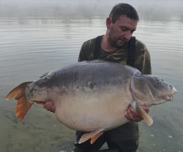 Massive carp named Carrot strikes again at French lake