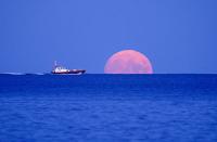 <p>Rising like the tide, the Harvest Moon seemed to emerge from the sea in Falmouth, England.</p>