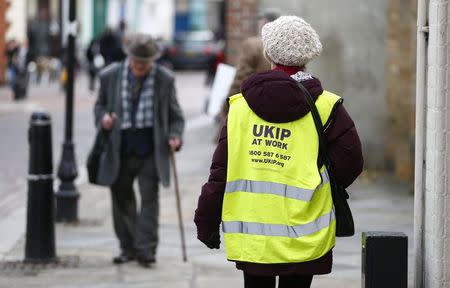 A United Kingdom Independence Party (UKIP) activist wears a high visibility jacket while canvassing for votes for the by-election in Rochester, in southeastern England, November 11, 2014. REUTERS/Andrew Winning