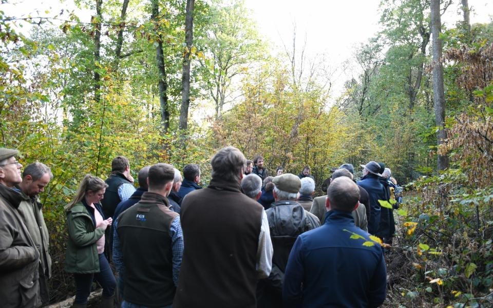 Farmers meeting to learn about nightingales (a farmer cluster meeting) A leaky dam - creating a wet woodland habitat, great conditions for nightingales.