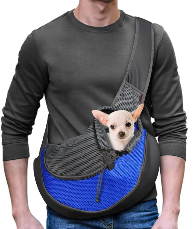 The 17 Best Dog Carriers of 2023 – PureWow
