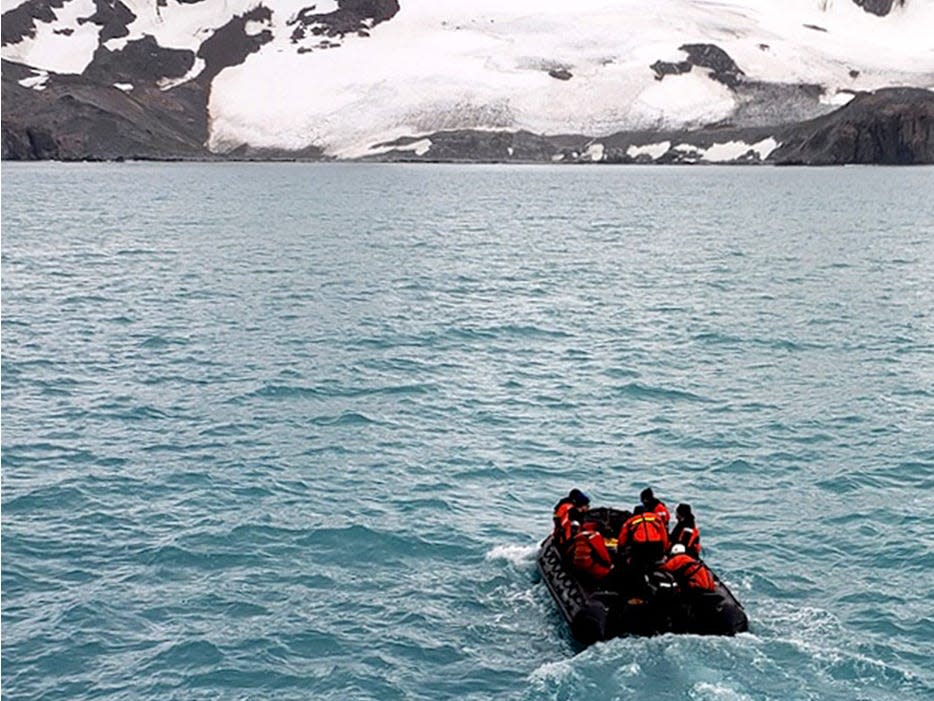 Researchers traveled to Antarctica to study starving penguins.