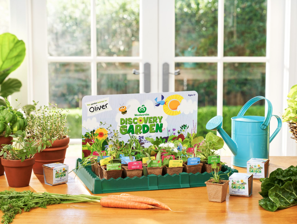 Promo photo showing discovery garden seedlings that have sprouted.