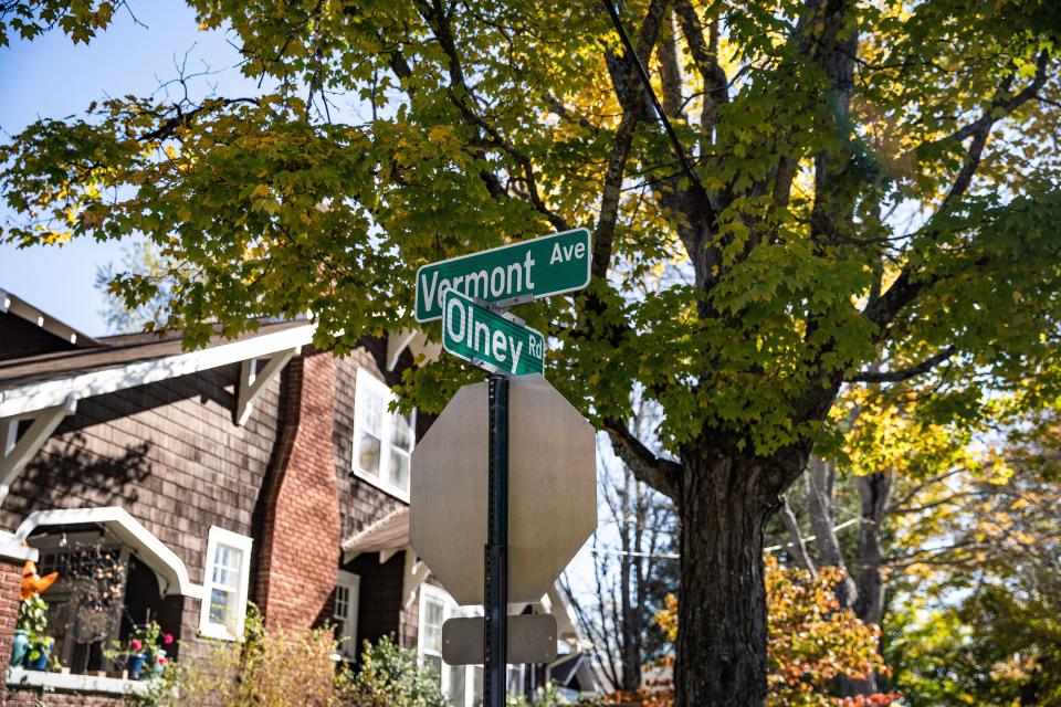 The Vermont Avenue Sidewalk Project could result in the removal of dozens of trees in the neighborhood.