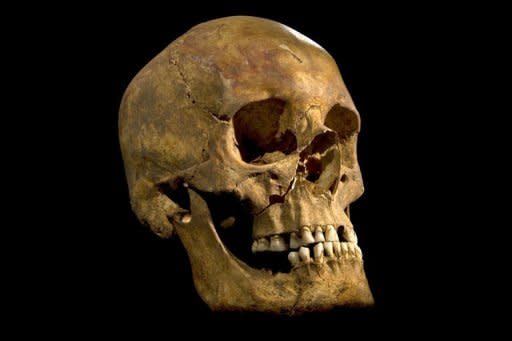 Imagen de la calavera del rey Ricardo III de Inglaterra, divulgada este lunes por la Universidad de Leicester. Un esqueleto hallado bajo un estacionamiento de la ciudad británica resultó ser del rey inglés, muerto en 1485 en el campo de batalla e inmortalizado como un gran villano por el dramaturgo William Shakespeare. (AFP | -)