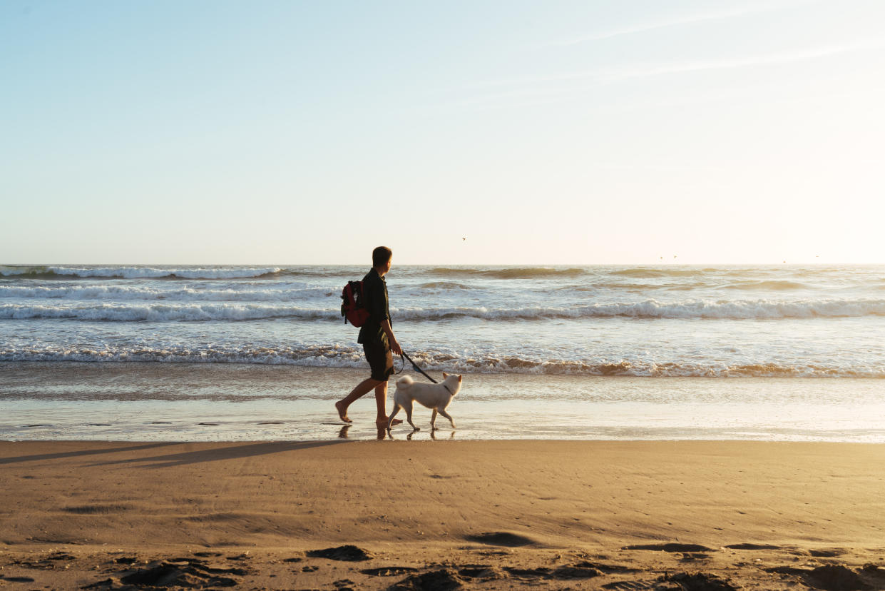 Are some Yorkshire beaches contaminated? Vets say don't panic. (Getty Images)