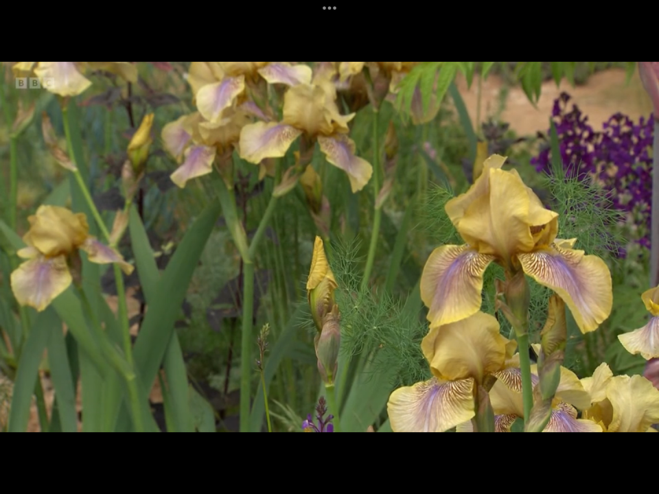 chelsea flower show 2023 nurture landscapes garden designed by sarah price