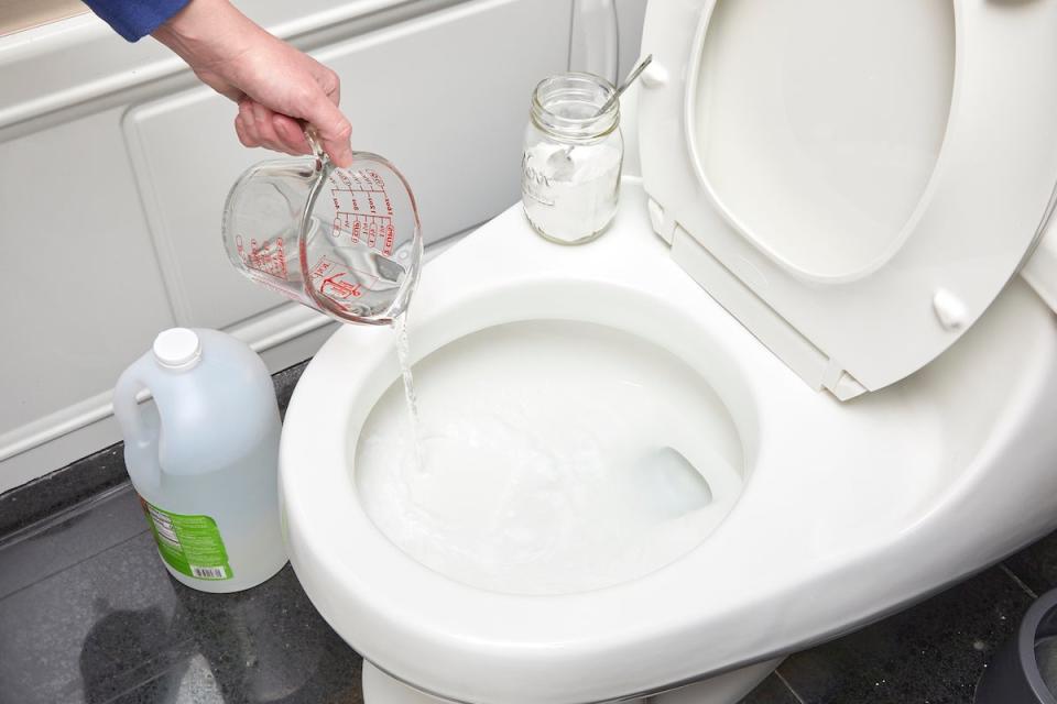 Woman pours vinegar into toilet bowl.