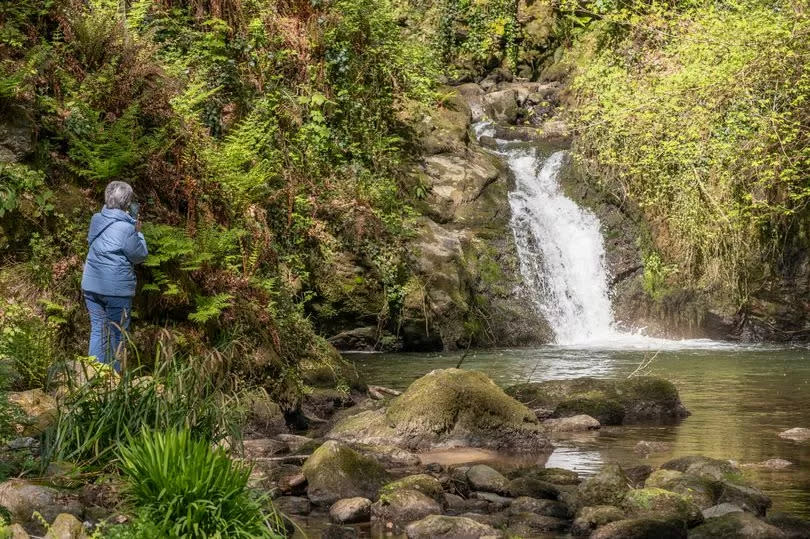 A waterfall on the Cadnant River, one of four in the gardens