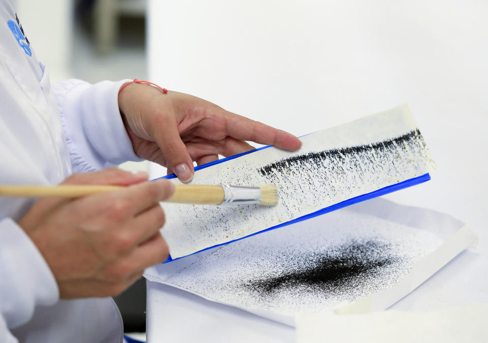 Una técnico de laboratorio emplea un pincel para recopilar huevos de mosquito secos en un centro del Programa Mundial del Mosquito, en Medellín, Colombia, el 10 de agosto de 2023. Los científicos crían mosquitos portadores de una bacteria llamada Wolbachia que bloquea la transmisión del dengue. (AP Foto/Jaime Saldarriaga)