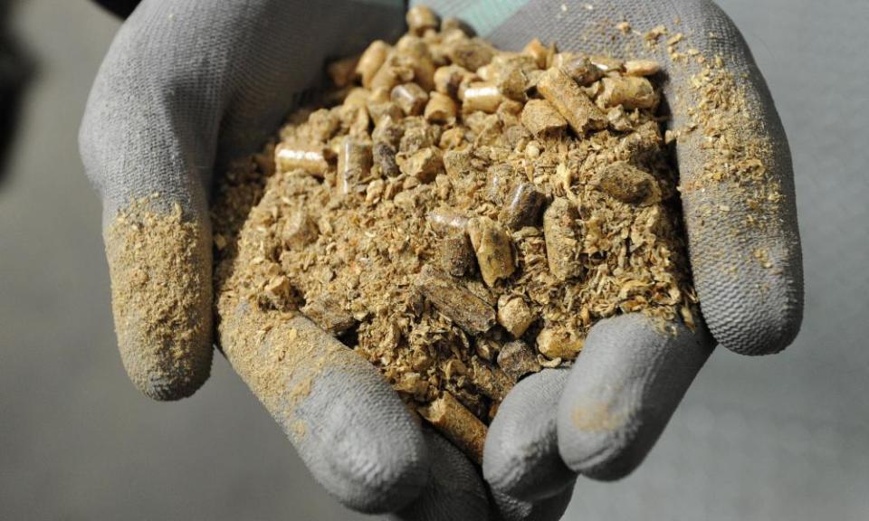 A person holding biomass fuel at Drax power station in North Yorkshire.