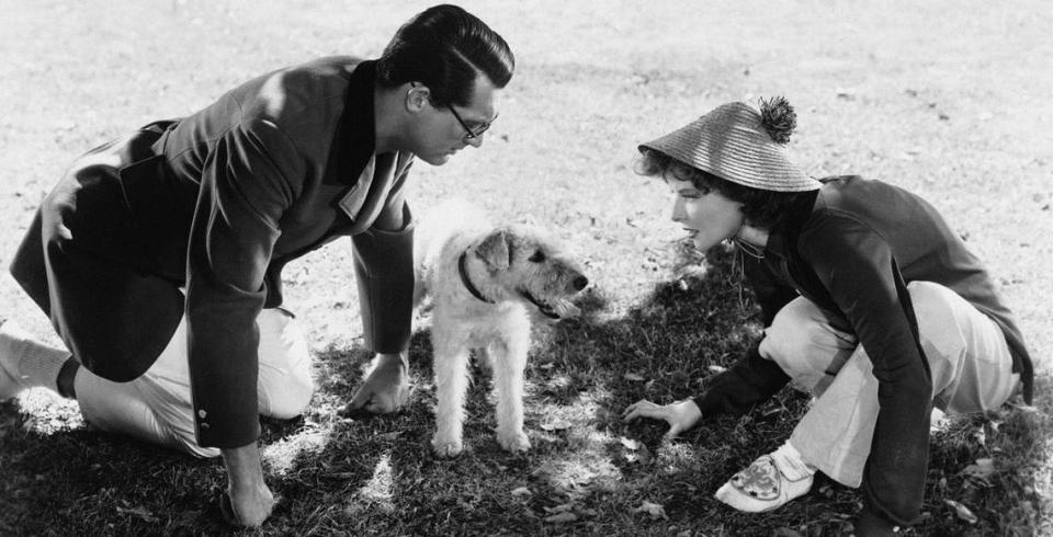 En Coral Gables ‘Bringing up Baby’ (1938) del director Howard Hawks con la actuación de Cary Grant y Katharine Hepburn.