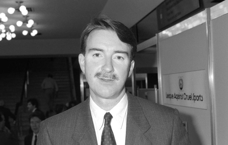 Mandelson critics pointed to his 1980s style choices, such as his decision to sport a bushy moustache (Alamy Stock Photo)