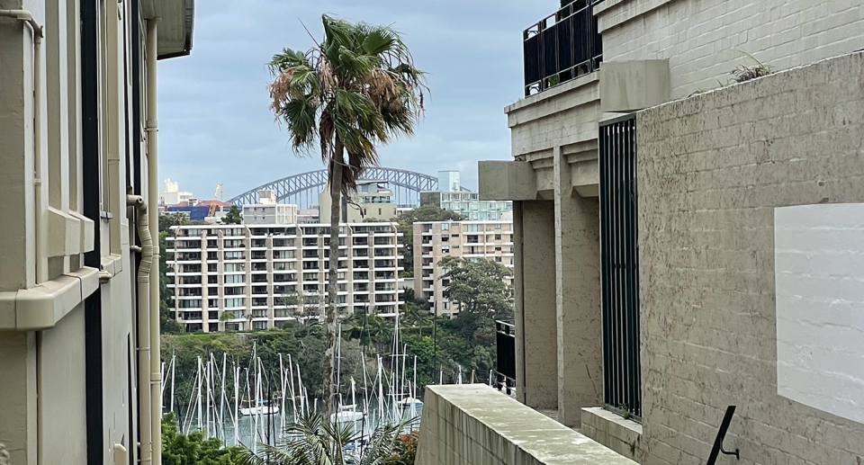 Looking between two buildings on Mona Road, it's possible to see the Harbour Bridge in the background.