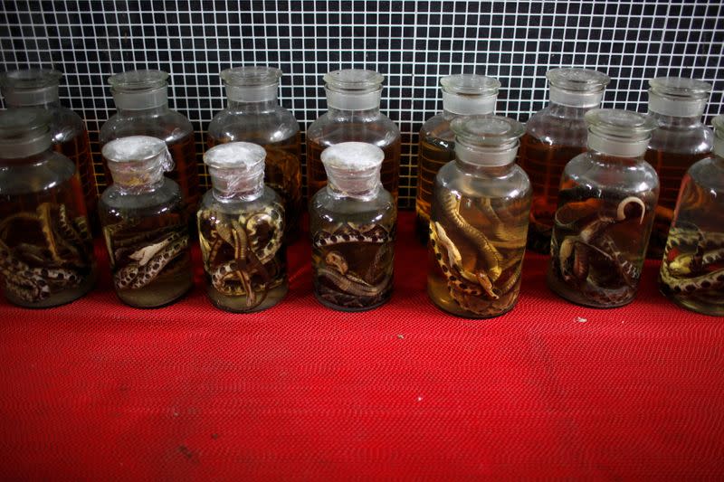 FILE PHOTO: Dead snakes are preserved in jars at a snake farm in Zisiqiao village