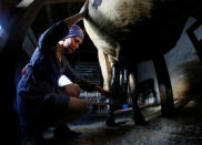 Natalia Kurochkina milks a cow at her family dairy and cheese farm in the Siberian village of Sizaya, south of Krasnoyarsk, Russia August 8, 2018. Picture taken August 8, 2018. REUTERS/Ilya Naymushin