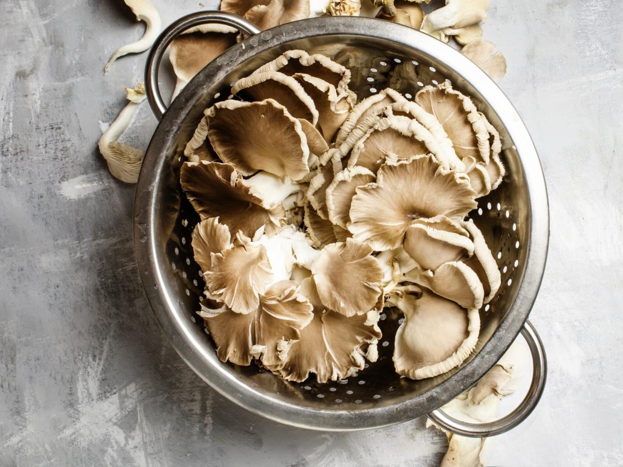 Fresh raw oyster mushrooms in a colander