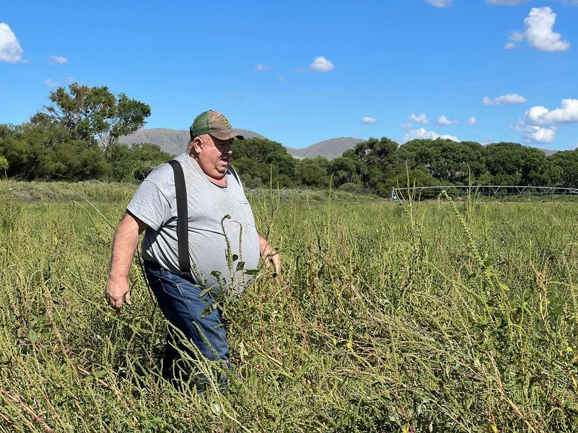 Virden, N.M. farmer Bob Williams crosses a muddy field on Wednesday, Sept. 14, 2022 after severe storms submerged part of his farm and flooded his basement.