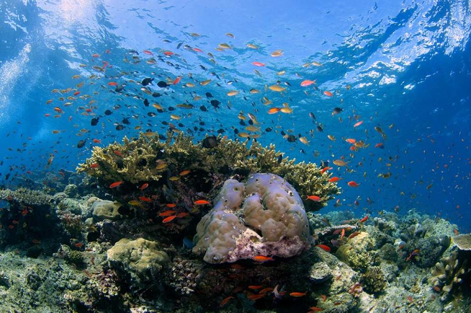 西巴丹島（Photo by Andre Seale/VW PICS/Universal Images Group, Image Source : Getty Editorial）