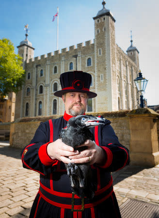 FILE PHOTO: Tower of London Ravenmaster Chris Skaife holds a baby raven in London, Britain May 14, 2019. Historic Royal Palaces/Handout via REUTERS.