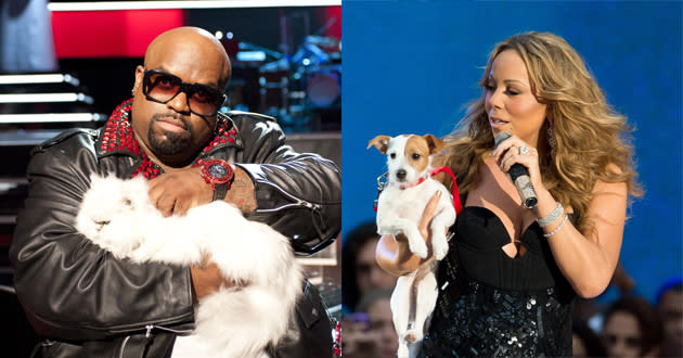 <b>Bonus Round! Diva Pets Moment</b>: Mariah had a Cee Lo moment by bringing her pup Jill E. Beans on stage for a song during her performance at the 2012 NFL Kick-Off Concert. Will Cee Lo's Purrfect the Cat have its own competition with reality cameos? You'll have to watch the new season of American Idol starting January 16 to find out!<p><a href="http://instagram.com/yahoomusic" rel="nofollow noopener" target="_blank" data-ylk="slk:Follow "YahooMusic" on Instagram;elm:context_link;itc:0;sec:content-canvas" class="link "><b>Follow "YahooMusic" on Instagram</b></a></p>