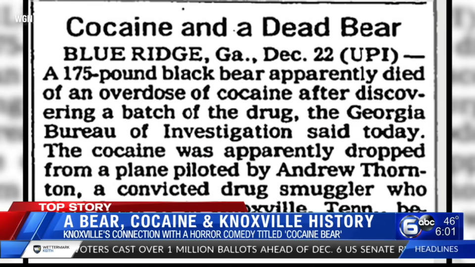 Newspaper clipping about the 175-pound black bear that died of an overdose in George, with headline "Cocaine and a Dead Bear"