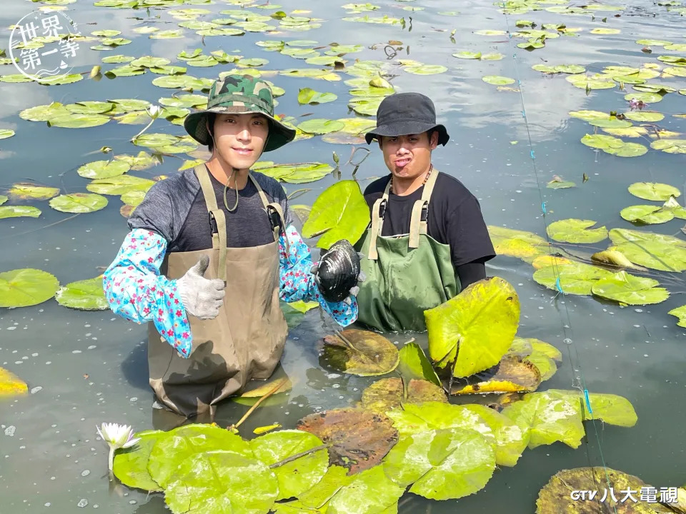 唐振剛(左)、張再興(右)到台南白河體驗荷花田採蓮子。（圖／八大）