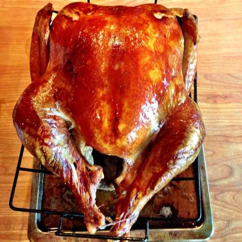 Thanksgiving turkey