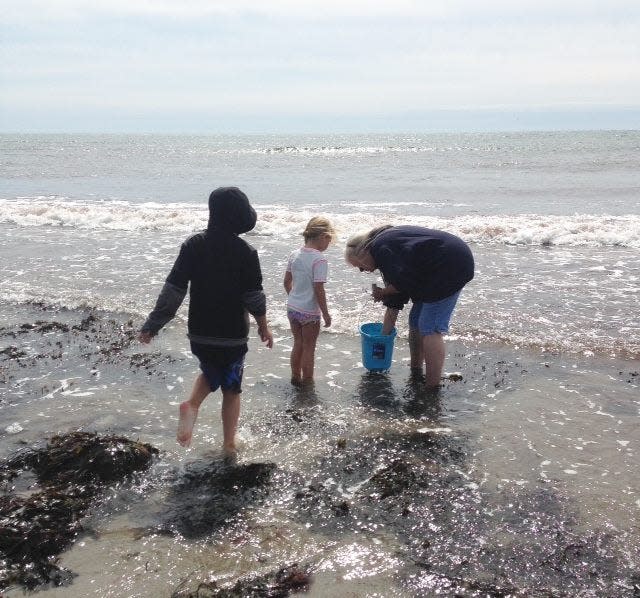Junior scientists often come into the Oceanarium with some amazing finds from the tidepools across from Church Street, tucked up along the edge of Boars Head and Hampton Beach.