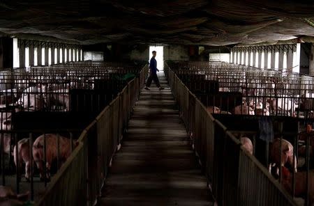 A worker walks past pens containing pigs at a farm located on the outskirts of Beijing September 7, 2012. REUTERS/David Gray/Files