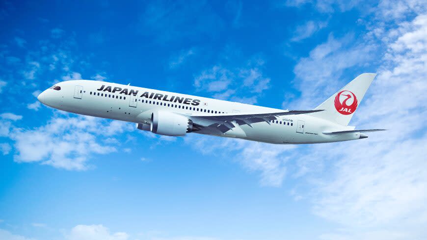 ▲日本航空宣布再次開放空服員招考。